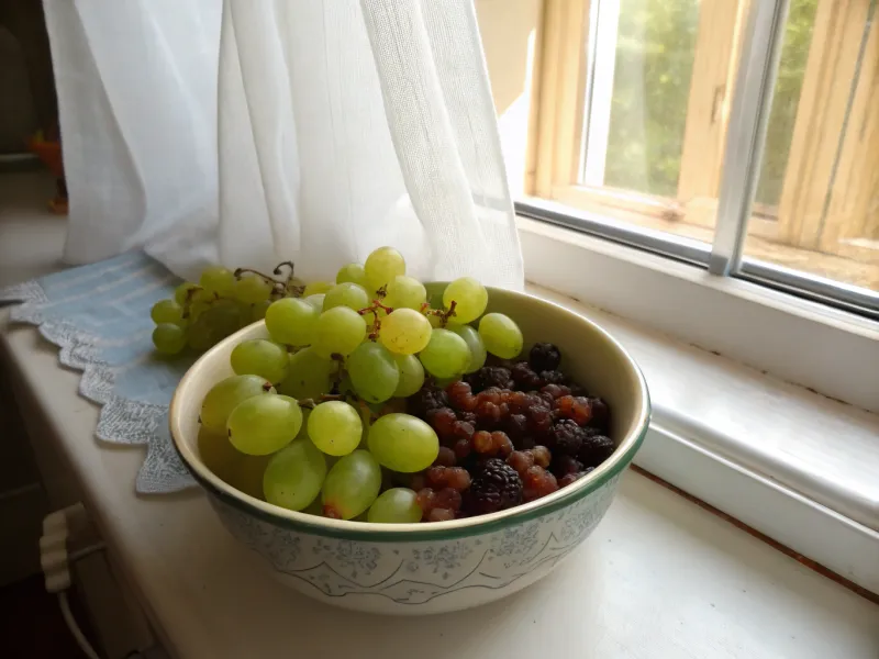 Grapes and Raisins