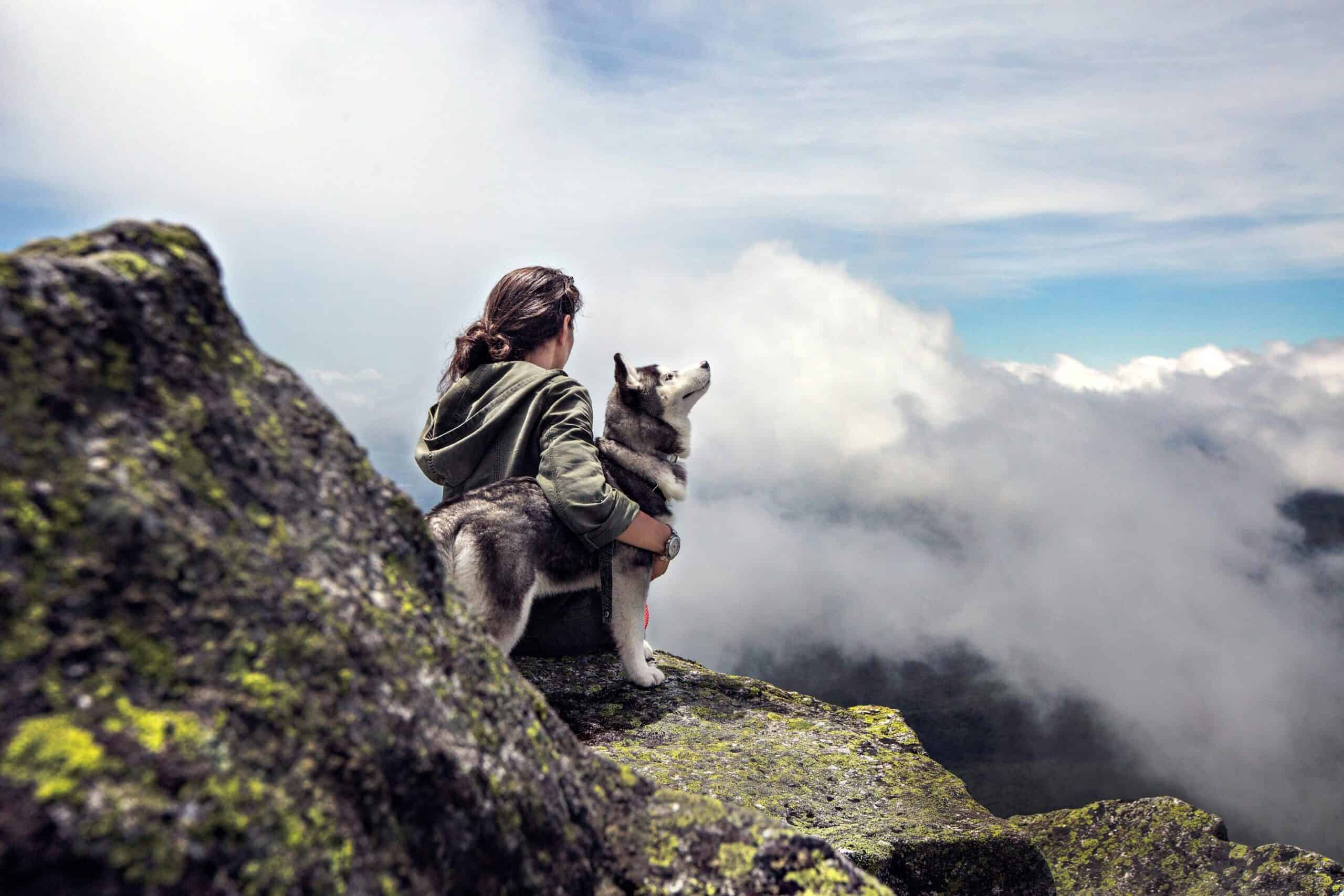 best-dog-breeds-hiking