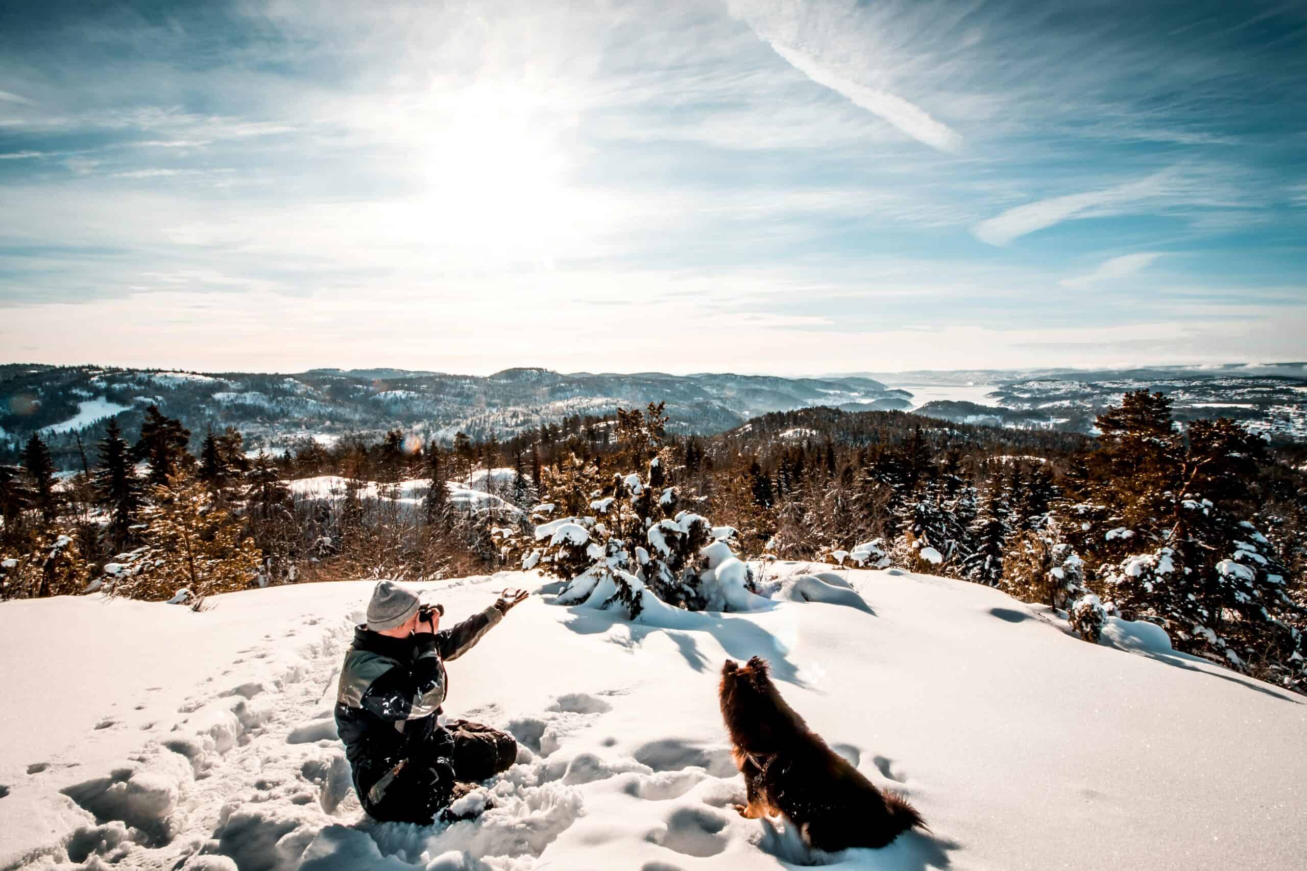 dog-breeds-cold-climate