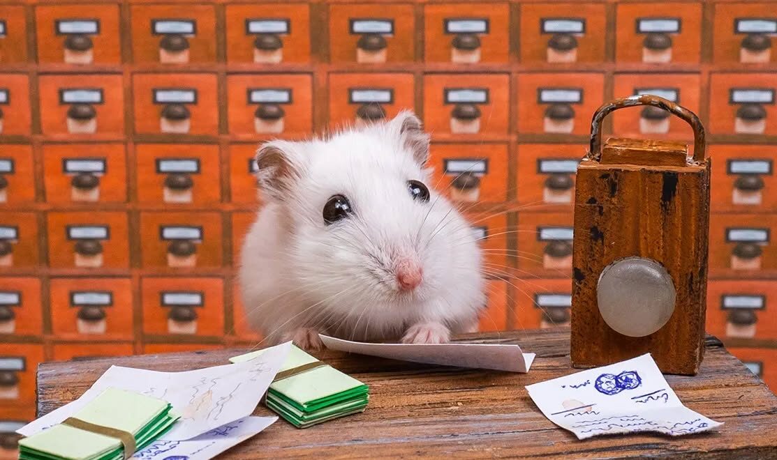 hamster