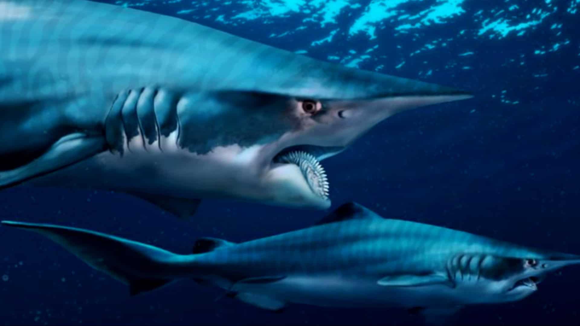 prehistoric shark beasts