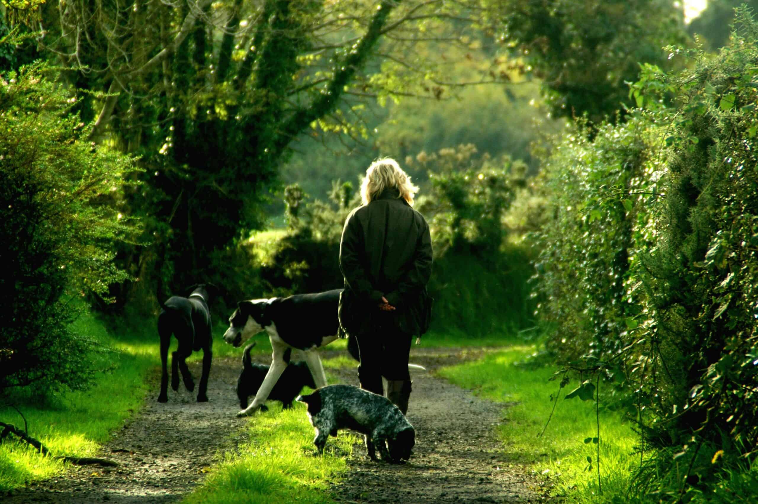 dog-breeds-short-life